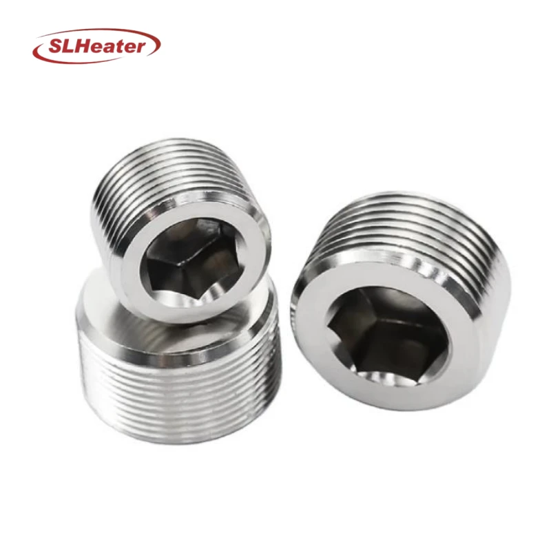 Corrosion-resistant 304 & 316 Stainless Steel Plugs suppliers