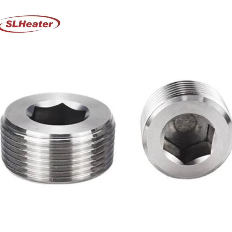 Corrosion-resistant 304 & 316 Stainless Steel Plugs factory