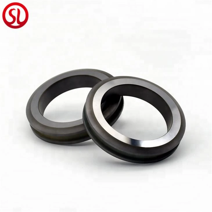 Anti-corrosion Polishing Silicon Carbide Ceramic Sealing Ring